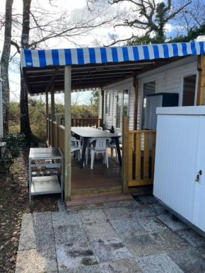 Mobilhome camping les petits écureuils 4 étoiles Biscarrosse